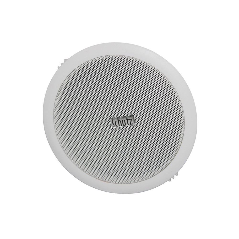 ENCEINTE DE PLAFOND - CEILING SPEAKER